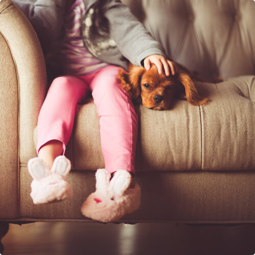 Young girl stroking head of dog