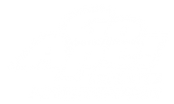 Image for Go Ape takes conversion rates to new heights